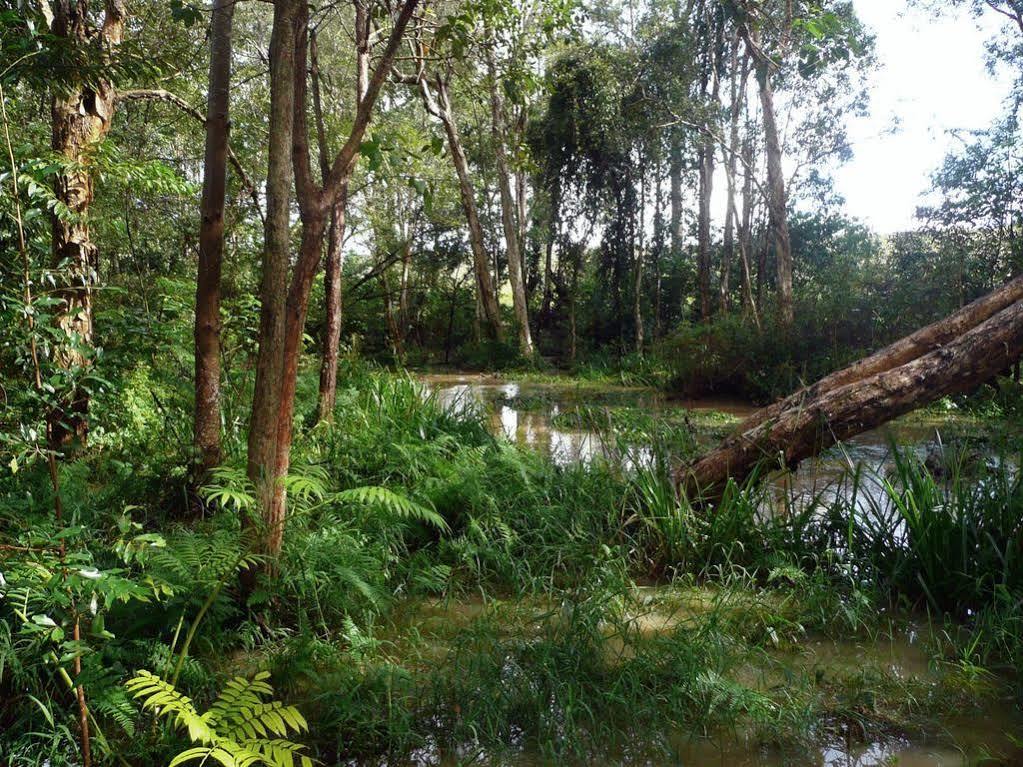 Glass House Mountains Ecolodge Bagian luar foto