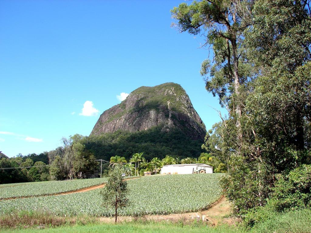 Glass House Mountains Ecolodge Bagian luar foto